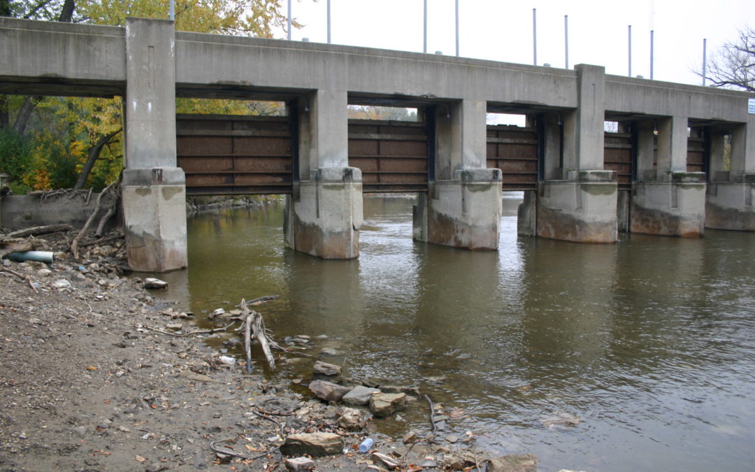 A Dam Update & Our New Estabrook Dam FAQ!